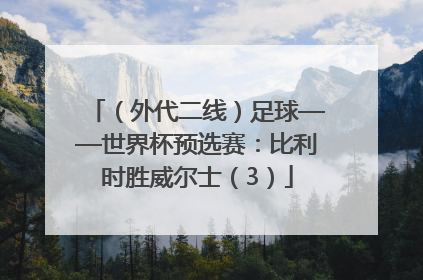 （外代二线）足球——世界杯预选赛：比利时胜威尔士（3）