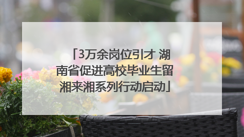 3万余岗位引才 湖南省促进高校毕业生留湘来湘系列行动启动