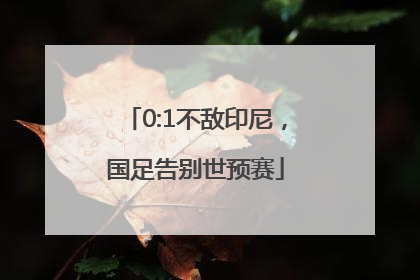 0:1不敌印尼，国足告别世预赛