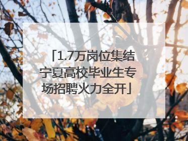 1.7万岗位集结 宁夏高校毕业生专场招聘火力全开