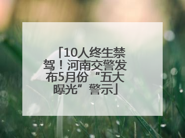 10人终生禁驾！河南交警发布5月份“五大曝光”警示