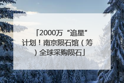 2000万“追星”计划！南京陨石馆（筹）全球采购陨石