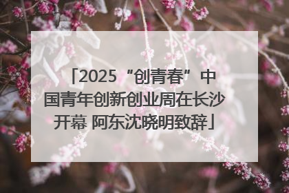 2025“创青春”中国青年创新创业周在长沙开幕 阿东沈晓明致辞