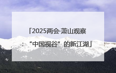 2025两会·萧山观察：“中国视谷”的新江湖