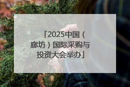 2025中国（廊坊）国际采购与投资大会举办