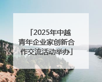 2025年中越青年企业家创新合作交流活动举办