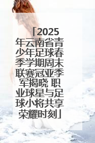 2025年云南省青少年足球春季学期周末联赛冠亚季军揭晓 职业球星与足球小将共享荣耀时刻