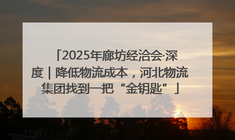 2025年廊坊经洽会·深度｜降低物流成本，河北物流集团找到一把“金钥匙”