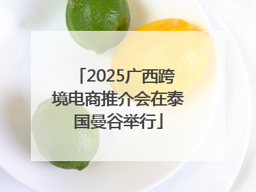 2025广西跨境电商推介会在泰国曼谷举行