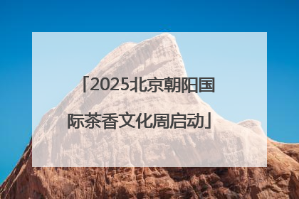 2025北京朝阳国际茶香文化周启动