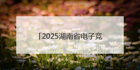 2025湖南省电子竞技超级联赛即将启幕