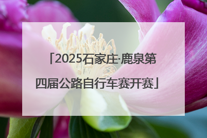 2025石家庄·鹿泉第四届公路自行车赛开赛