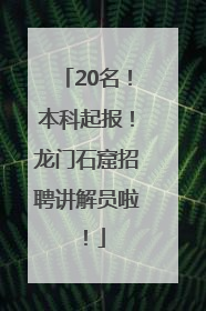 20名！本科起报！龙门石窟招聘讲解员啦！