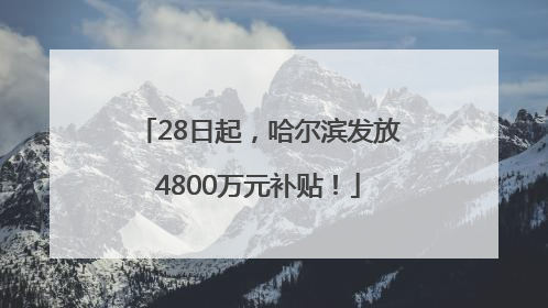 28日起，哈尔滨发放4800万元补贴！
