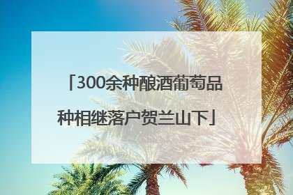 300余种酿酒葡萄品种相继落户贺兰山下