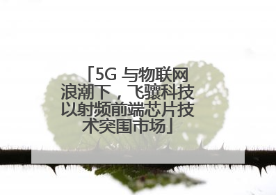 5G 与物联网浪潮下，飞骧科技以射频前端芯片技术突围市场