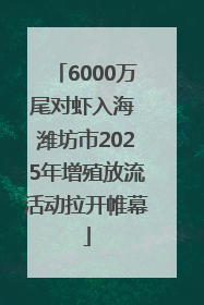 6000万尾对虾入海 潍坊市2025年增殖放流活动拉开帷幕