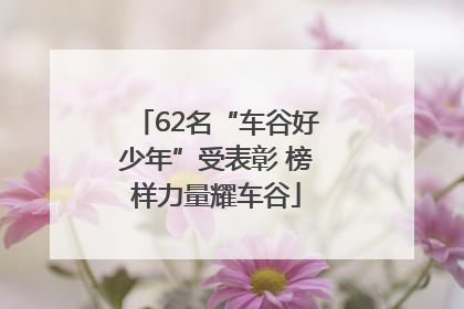 62名“车谷好少年”受表彰 榜样力量耀车谷