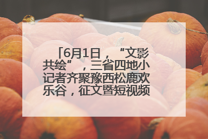 6月1日，“文影共绘”，三省四地小记者齐聚豫西松鹿欢乐谷，征文暨短视频大赛精彩启幕！
