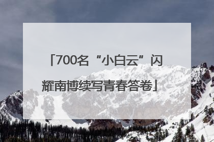 700名“小白云”闪耀南博续写青春答卷