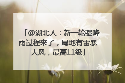 @湖北人：新一轮强降雨过程来了，局地有雷暴大风，最高11级
