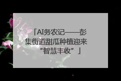 AI务农记——彭集街道甜瓜种植迎来“智慧丰收”