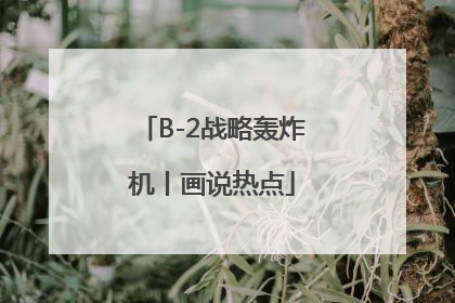B-2战略轰炸机丨画说热点